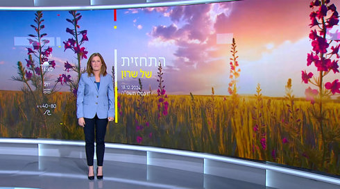 התחזית 18.12.24 | רוחות, גשם וסופות רעמים