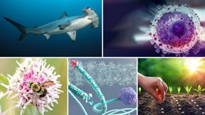 5 מחקרים חדשים, מכון דוידסון למדע