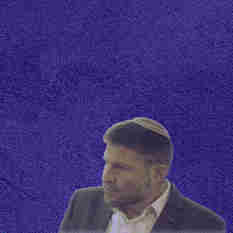 cat28273_img378047493.jpg