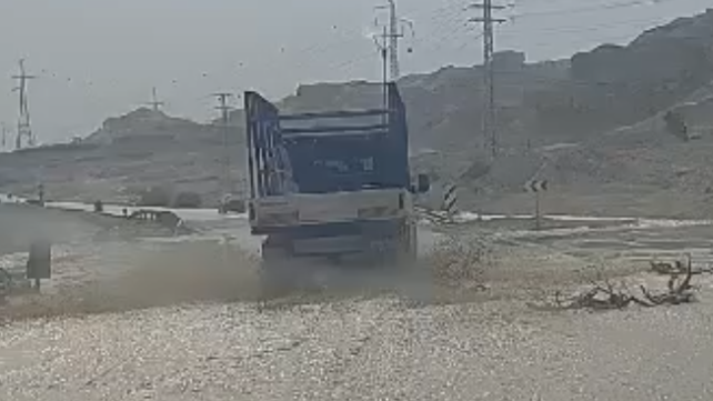 ליאלי מלמן, החברה להגנת הטבע