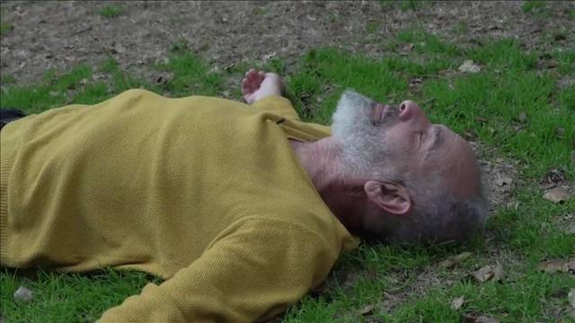 דנה הרמן - שי אביבי 