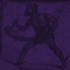 cat18850_img451412198.jpg