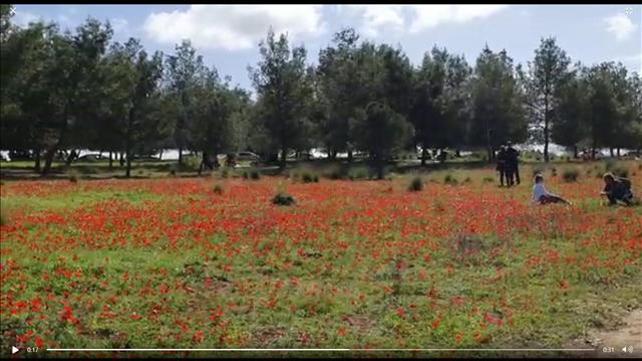 יער שוקדה, 13.02.21