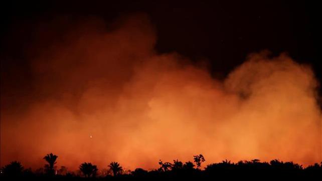 השריפות ביערות האמזונס, 22.08.19