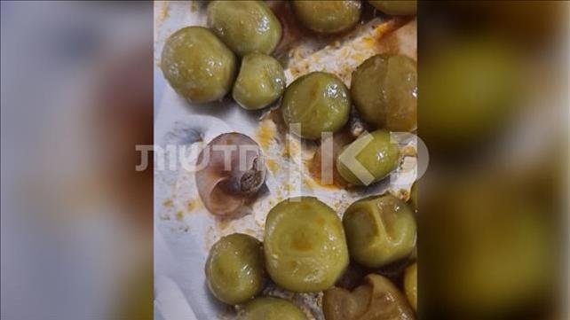 חילזון באפונה של פרי הגליל 31.08.22