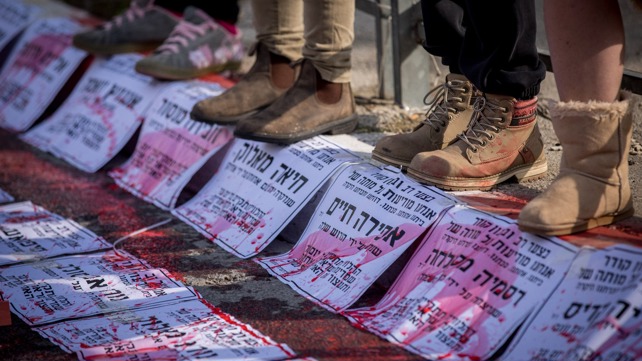 יונתן זינדל, פלאש 90