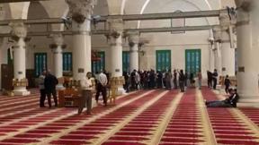 النشرة المسائية 