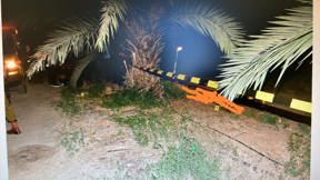זירת מציאת גופה שרופה יאיר חדד מטע תמרים בקעת הירדן רצח