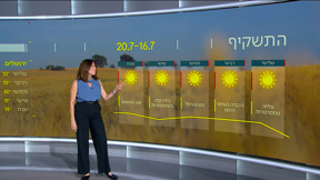 התחזית 15.07.24