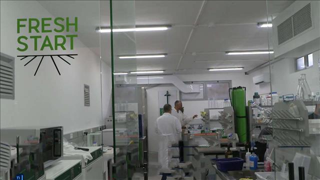  הפטנט של התפוזים - רובי המרשלג