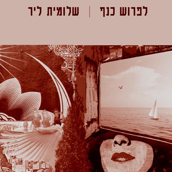הפועלות נגד הדרת נשים