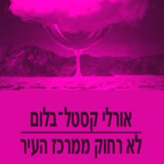 כריכת הספר 'לא רחוק ממרכז העיר'