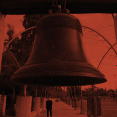 cat19398_img980314715.jpg