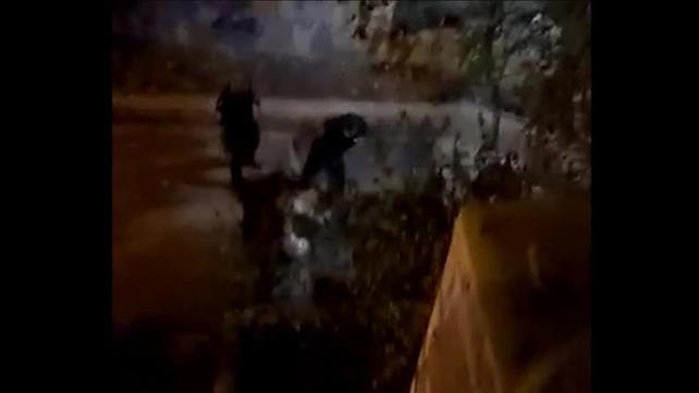 שוטר מכה מפגין בחיפה