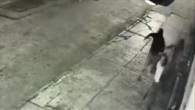 תיעוד תקיפת יהודי בניו יורק 18.9.19