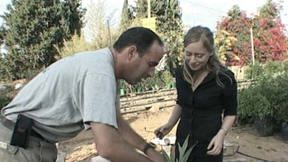 איריס אברמוביץ' ודני אלונים במשתלה. 27.11.2002
