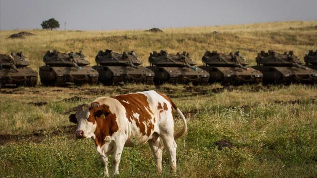 רמת הגולן