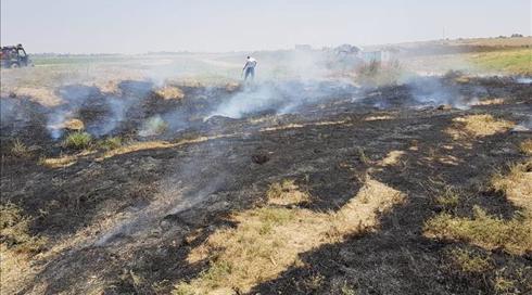 על אף מאמצי ההסדרה: 6 שריפות בעוטף עזה כתוצאה מבלוני תבערה (1)