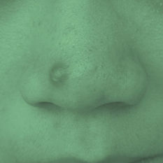 cat9864_img92065538.jpg