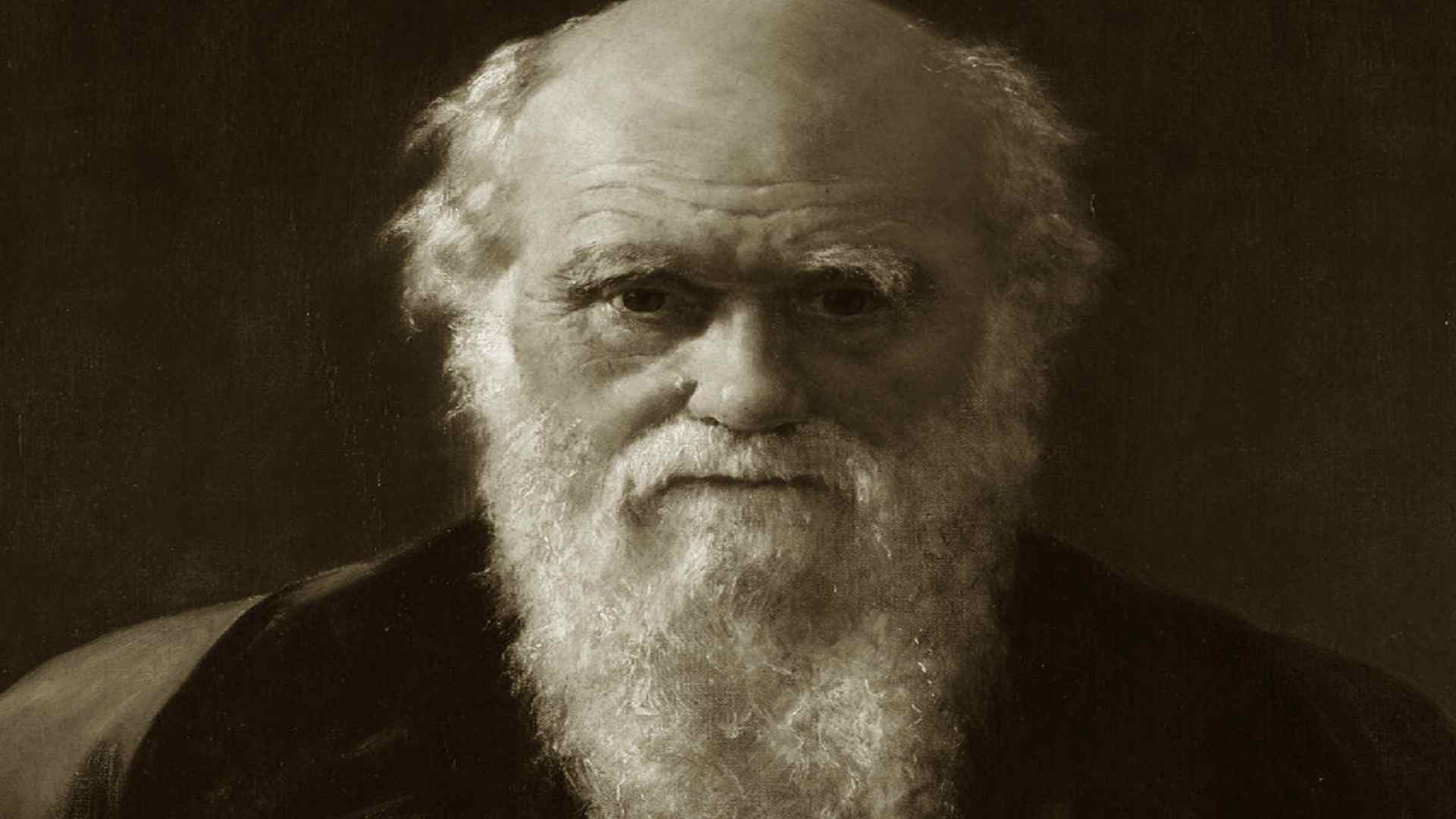 מה קרה לאבולוציה מאז דרווין - פרק 2