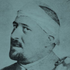 cat18219_img647914448.jpg