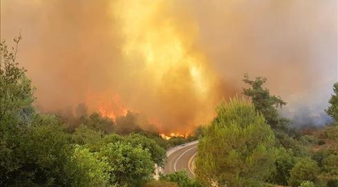 השריפה בהרי ירושלים: חשד להצתה מכוונת