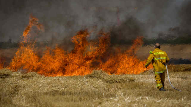 שדה שרוף בעוטף עזה