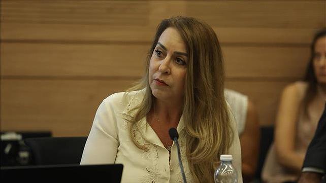 מנכ"לית ועדת הבחירות המרכזית - אורלי עדס