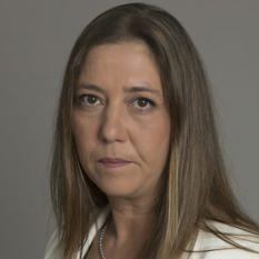 מחבר מיכל וסרמן 