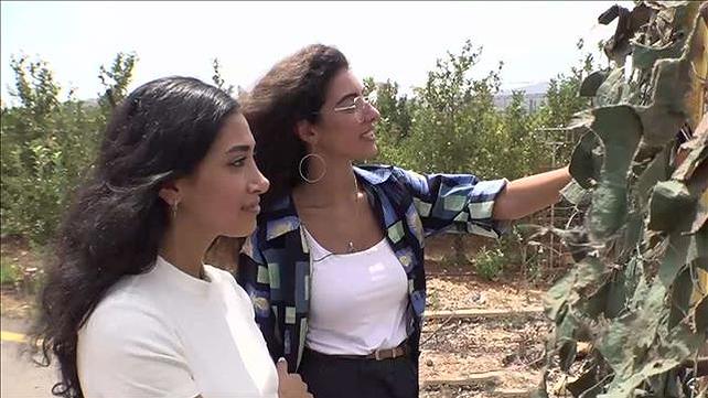 קול איסראיל – ערן זינגר