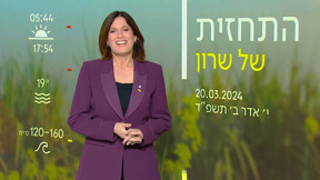 תחזית (5)