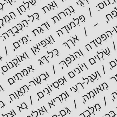 מנה עיקרית