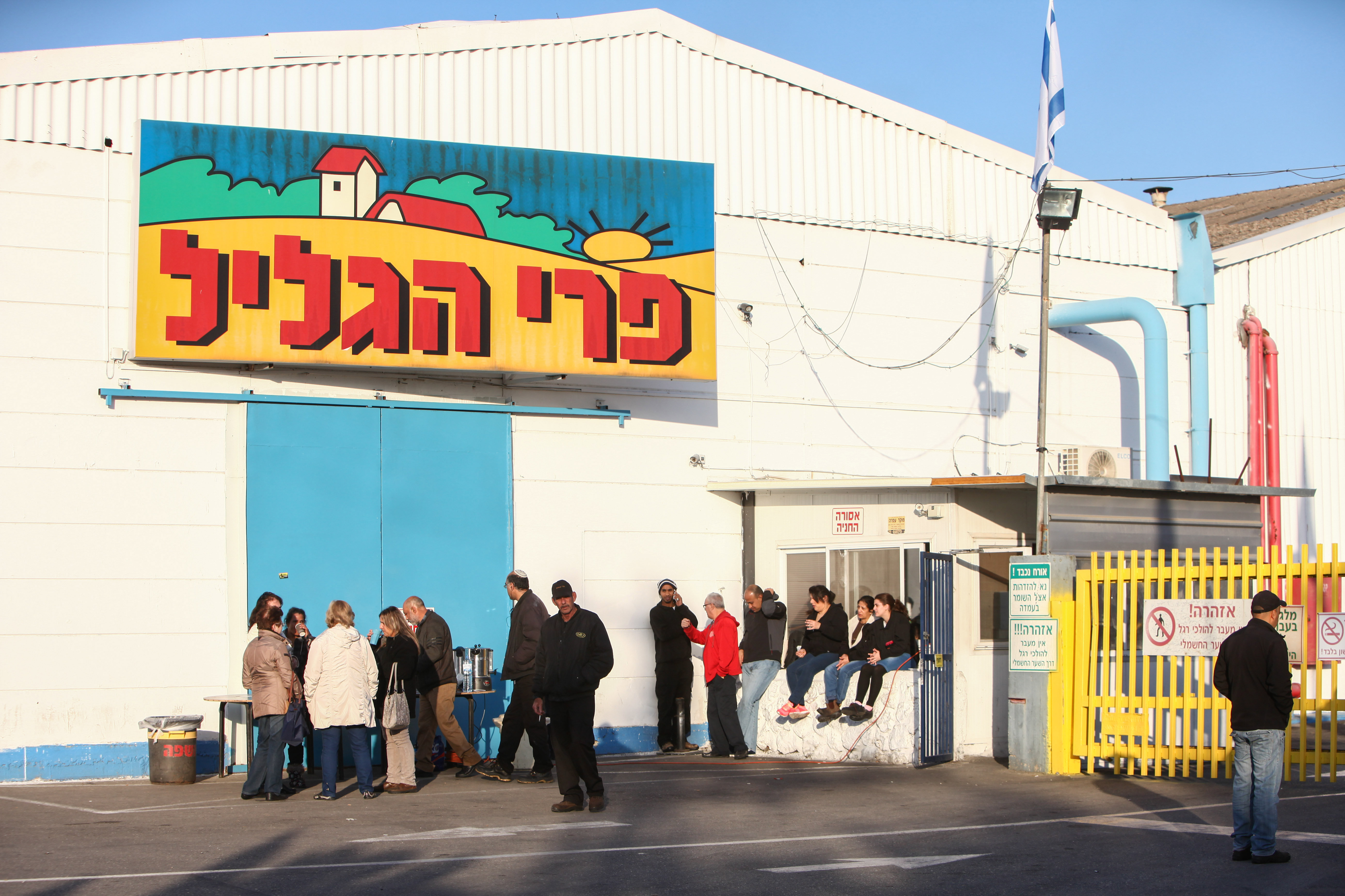 פרי הגליל