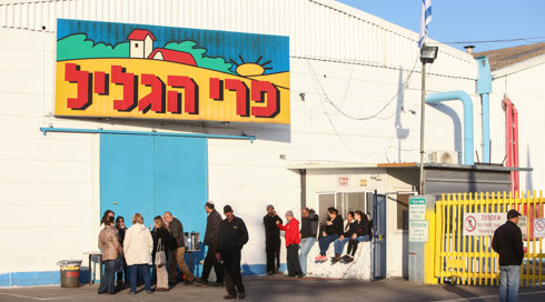 הוקפאו פיטורי 130 העובדים במפעל "פרי הגליל"