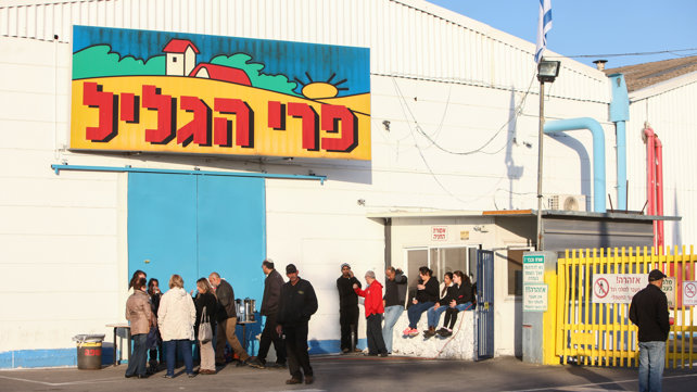 פרי הגליל