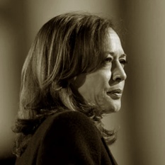 KAMELA 500X500