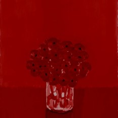 Square 500X500(1) אבו שקרה