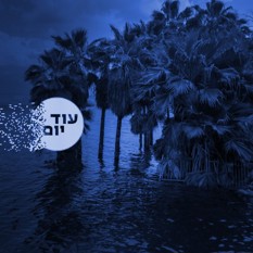 כינרת ריבועי 200324