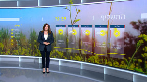 התחזית (7)