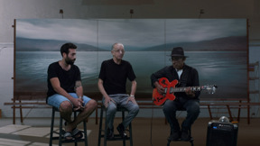 רביד פלוטניק - חסידה צחורה