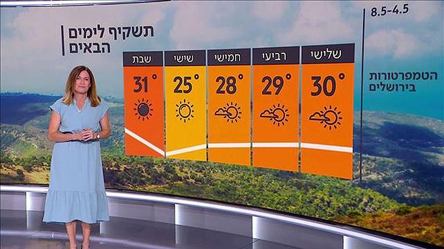 תחזית
