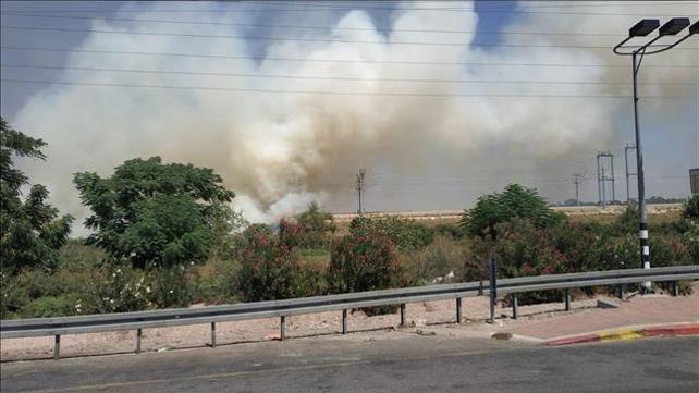 השריפה באזור נתב"ג, אוגוסט 2019