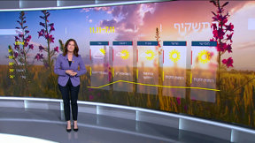 התחזית 06.11.24