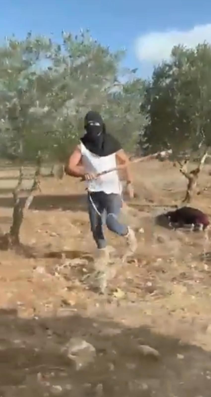 אריאל דהרי