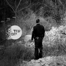 חיפושים