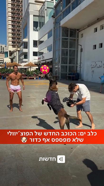 תכירו את טסלה - הכוכב העולה של הפוצ'יוולי בישראל.כאן 11
