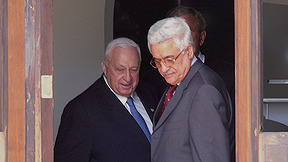 סינדרום עזה | פרק 3