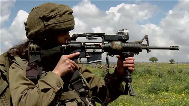 חרד"לים שטיינמיץ