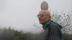 משה לדרפיין - דוקותיים