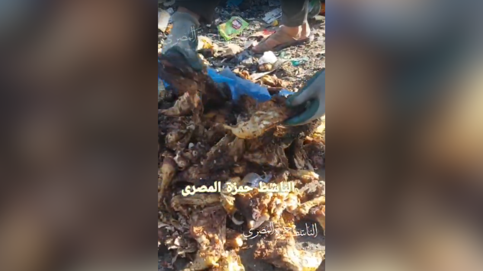 צילום מסך מתוך תיעוד המזון שהושלך ברצועה